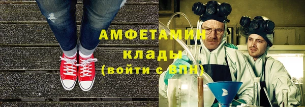 индика Балабаново