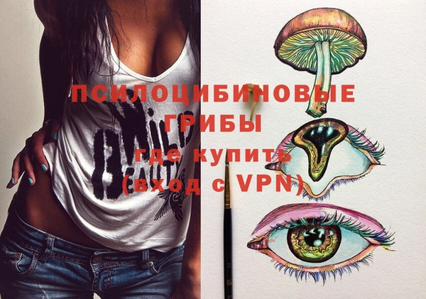 гашик Баксан